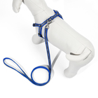 Комплект "Спорт" светоотражающий, поводок 120 х 1 см, ОГ 23-35 см, синий - Фото 3