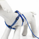 Комплект "Спорт" светоотражающий, поводок 120 х 1 см, ОГ 23-35 см, синий - Фото 4