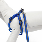 Комплект "Спорт" светоотражающий, поводок 120 х 1 см, ОГ 23-35 см, синий - Фото 5