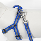Комплект "Спорт" светоотражающий, поводок 120 х 1 см, ОГ 23-35 см, синий - Фото 6
