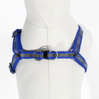 Комплект "Спорт" светоотражающий, поводок 120 х 1 см, ОГ 23-35 см, синий - Фото 7