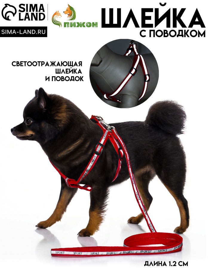 Комплект «Спорт» светоотражающий, поводок 120×1 см, ОГ 23-35 см, красный - Фото 1
