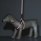 Комплект «Спорт» светоотражающий, поводок 120×1 см, ОГ 23-35 см, красный - Фото 11