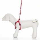 Комплект «Спорт» светоотражающий, поводок 120×1 см, ОГ 23-35 см, красный - Фото 3