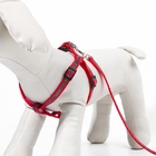 Комплект «Спорт» светоотражающий, поводок 120×1 см, ОГ 23-35 см, красный - Фото 5