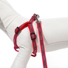 Комплект «Спорт» светоотражающий, поводок 120×1 см, ОГ 23-35 см, красный - Фото 6