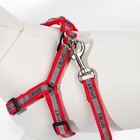 Комплект «Спорт» светоотражающий, поводок 120×1 см, ОГ 23-35 см, красный - Фото 7