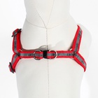 Комплект «Спорт» светоотражающий, поводок 120×1 см, ОГ 23-35 см, красный - Фото 8