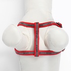 Комплект «Спорт» светоотражающий, поводок 120×1 см, ОГ 23-35 см, красный - Фото 9