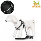 Комплект "Спорт" светоотражающий, поводок 120 х 1 см, ОГ 23-35 см, чёрный - Фото 1