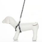 Комплект "Спорт" светоотражающий, поводок 120 х 1 см, ОГ 23-35 см, чёрный - Фото 2