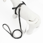 Комплект "Спорт" светоотражающий, поводок 120 х 1 см, ОГ 23-35 см, чёрный - Фото 3