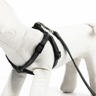 Комплект "Спорт" светоотражающий, поводок 120 х 1 см, ОГ 23-35 см, чёрный - Фото 4