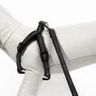 Комплект "Спорт" светоотражающий, поводок 120 х 1 см, ОГ 23-35 см, чёрный - Фото 5