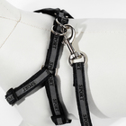 Комплект "Спорт" светоотражающий, поводок 120 х 1 см, ОГ 23-35 см, чёрный - Фото 6