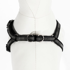 Комплект "Спорт" светоотражающий, поводок 120 х 1 см, ОГ 23-35 см, чёрный - Фото 7