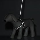 Комплект "Спорт" светоотражающий, поводок 120 х 1 см, ОГ 23-35 см, чёрный - Фото 10