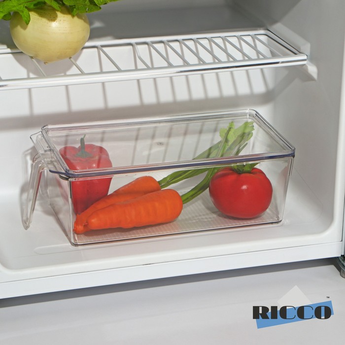 Контейнер для холодильника с крышкой и ручкой RICCO, 32×14,5×10 см - Фото 1