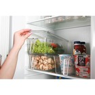 Контейнер для холодильника с крышкой и ручкой RICCO, 32×14.5×10 см - Фото 7