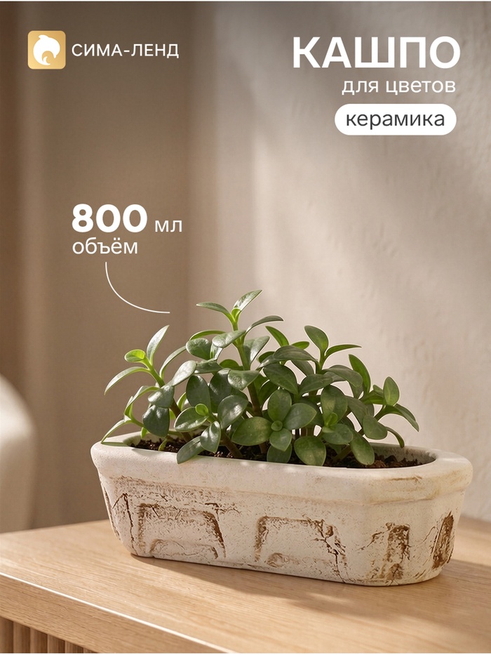 Фигурное кашпо для цветов «Кактусница», 800 мл, 24×7×9 см, керамика, бежевое - Фото 1