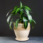 Горшок для цветов «Ламия», 15 л, d=34 см, h=33 см, керамика, с поддоном, бежевый - Фото 8