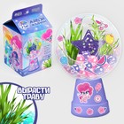 Набор для опытов «Живой аквариум» My little pony 7091116 - фото 12046355