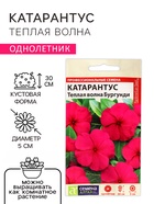 Семена цветов Катарантус "Теплая волна", бургунди, 5 шт - Фото 1
