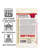 Семена цветов Катарантус "Теплая волна", бургунди, 5 шт - Фото 3