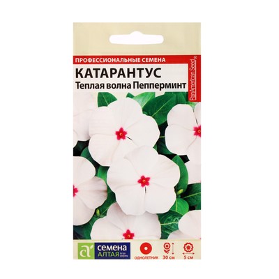Семена цветов Катарантус "Теплая волна", пеперминт, 7 шт.