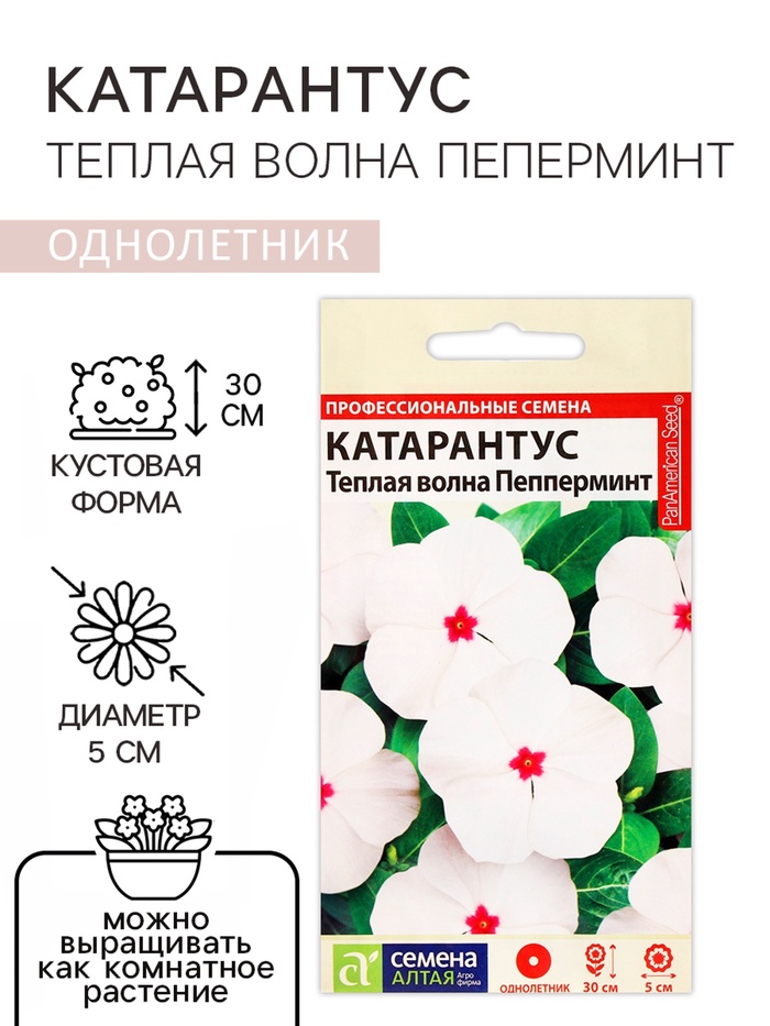Семена цветов Катарантус «Теплая волна», пеперминт, 5 шт., «Семена Алтая» - Фото 1