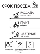 Семена цветов Катарантус «Теплая волна», пеперминт, 5 шт., «Семена Алтая» - Фото 2