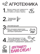 Семена цветов Катарантус «Теплая волна», пеперминт, 5 шт., «Семена Алтая» - Фото 4
