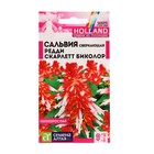 Семена цветов Сальвия "Редди", скарлет, биколор сверкающая, Сем. Алт, ц/п, 5 шт - Фото 1