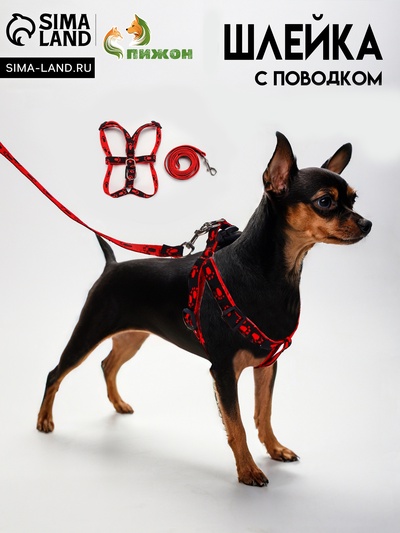 Шлейка с поводком «Большая лапа», ширина 1.5 см, поводок 120 см, шлейка 28-42 см, красная, чёрная