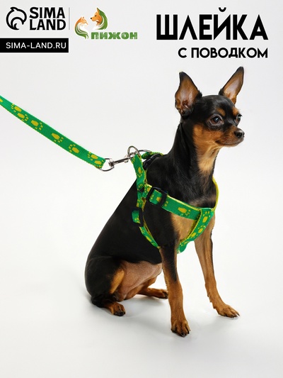 Шлейка с поводком «Большая лапа», ширина 1.5 см, поводок 120 см, шлейка 28-42 см, зелёная, жёлтая