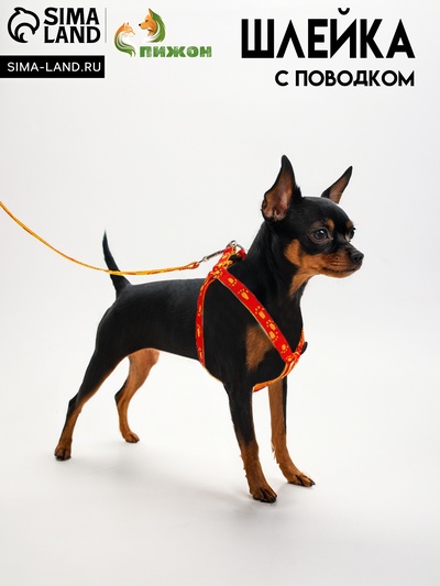 Комплект «Большая лапа», ширина 1.5 см, поводок 120 см, шлейка 28-42 см, оранжево-жёлтый