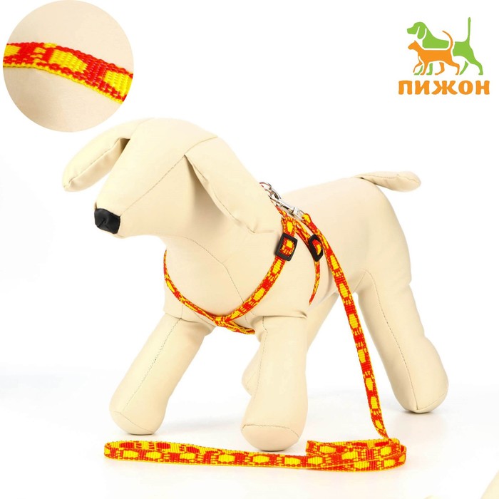 Комплект "Большая лапа", ширина 1 см, поводок  120 см, шлейка 25-36 см, оранжево-жёлтый - Фото 1