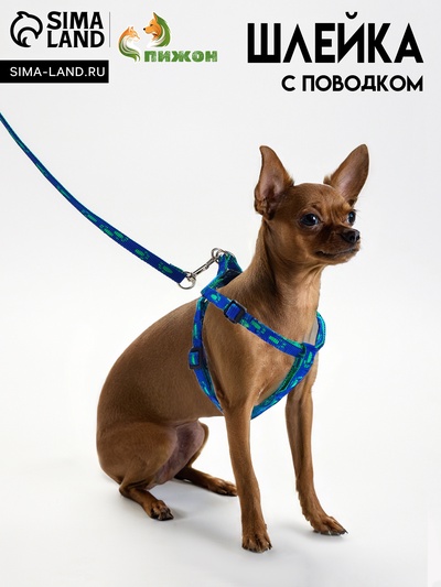 Комплект  "Большая лапа", ширина 1 см, поводок  120 см, шлейка 25-36 см, сине-зелёный