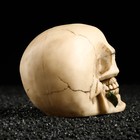 Декор для аквариума Last Love, 14 х 9 х 11 см - фото 22635101