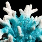 Декоративный коралл "Синулярия", 18 х 9 х 14 см, голубой - фото 9731661
