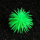 Декоративный анемон для аквариума, 8 х 5 см, зелёный - фото 9731663