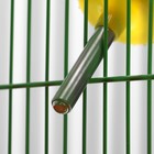Поилка для грызунов, 500 мл, 20.5×5 см, жёлтая - Фото 4