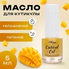 Масло для увлажнения и питания кутикулы 5 мл, манго - Фото 1