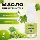 Масло для увлажнения и питания кутикулы 5 мл, виноград - Фото 1
