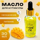 Масло для увлажнения и питания кутикулы 30 мл, манго - Фото 1
