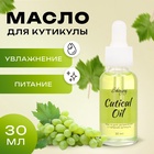 Масло для увлажнения и питания кутикулы 30 мл, виноград - Фото 1