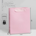 Пакет подарочный ламинированный, упаковка, «Розовый», S 12 х 15 х 5.5 см - фото 6167116