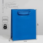Пакет подарочный ламинированный, упаковка, «Синий», S 12 х 15 х 5.5 см - фото 320830220