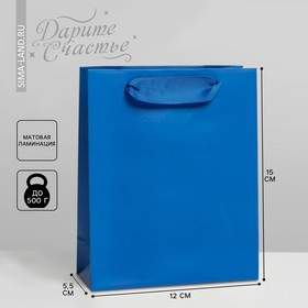 Пакет подарочный ламинированный, упаковка, «Синий», S 12 х 15 х 5.5 см