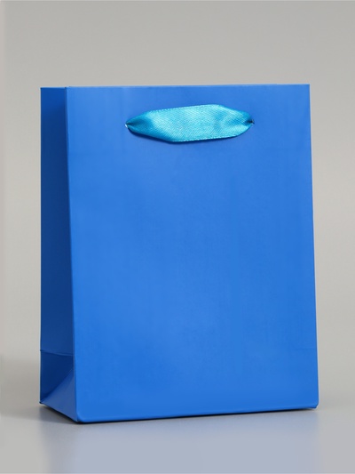 Пакет подарочный ламинированный, упаковка, «Синий», S 12×15×5.5 см